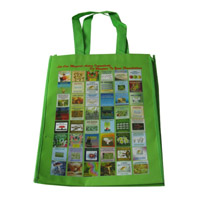 钦州LB11覆膜无纺布广告袋